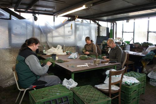 Ausbildung