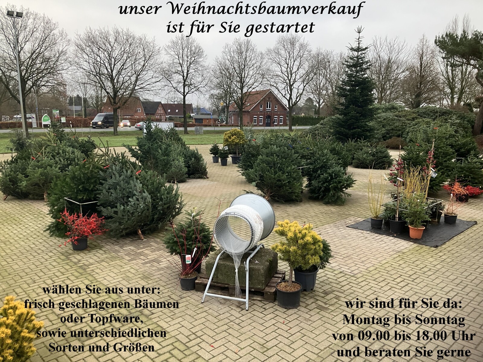 Weihnachtsbaumverkauf 1 mit Text